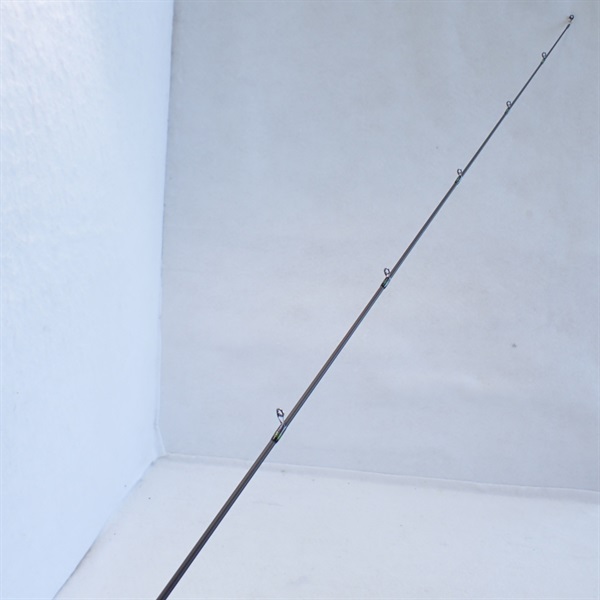 Ｏｒｏｃｈｉ　Ｘ１０Ｆ１－６１０ＸＴＳ　２Ｐ